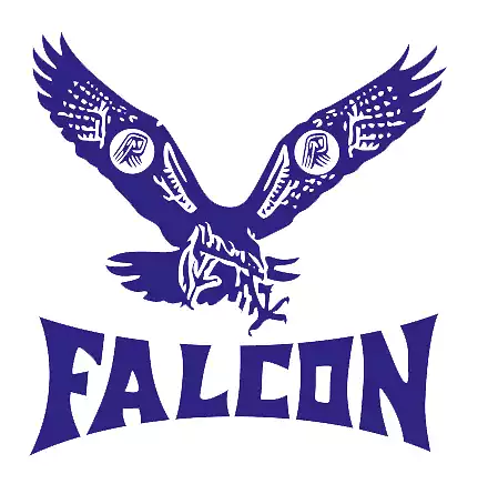 Falcon Plastic Products Company is a closed joint-stock company.