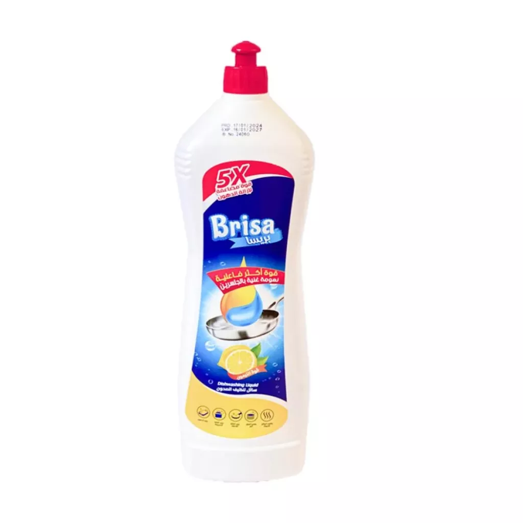 BRISA Dishwash 1 LTR * 12