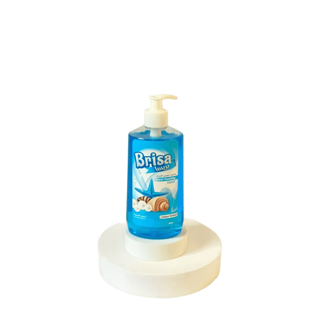 BRISA Handwash 500ML X 12 / OCEAN BREEZE