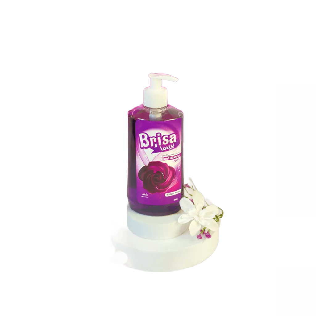 BRISA Handwash 500ML X 12 / PASSION